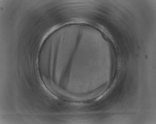 X0000081320797200702012358