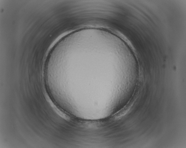 X0000081320803200702012358