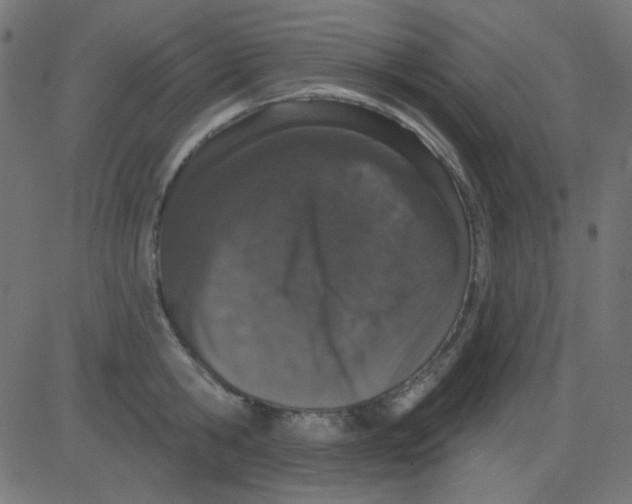 X0000081320806200702012358