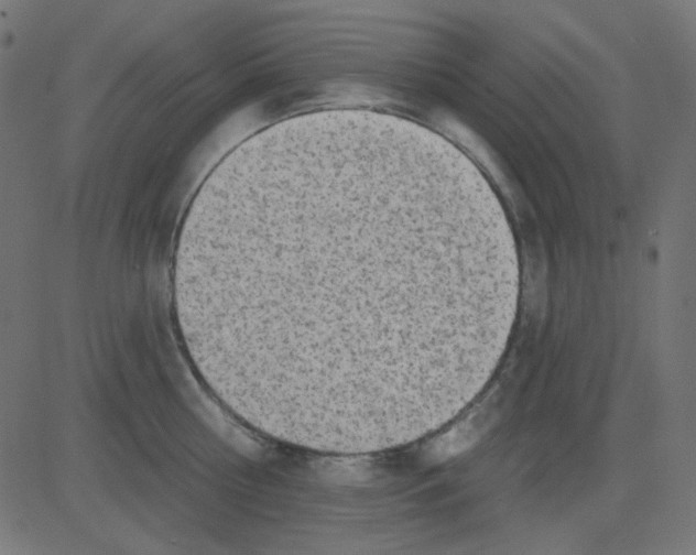 X0000081320810200702012358