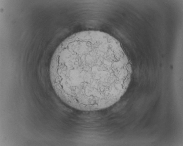 X0000081320817200702012357