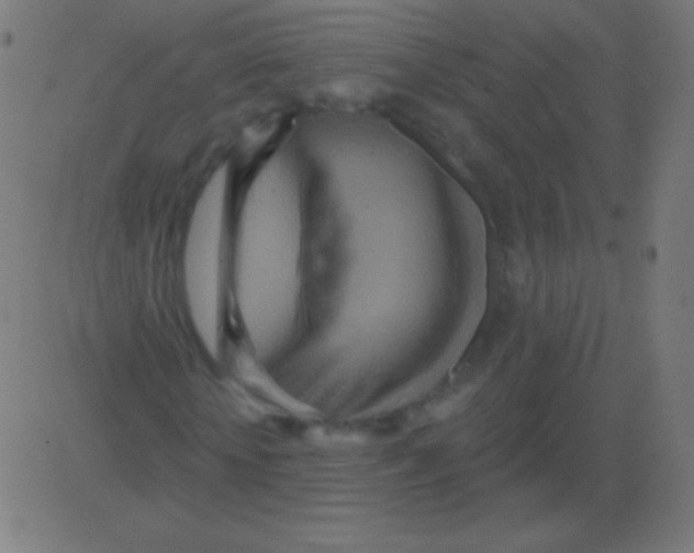 X0000081320818200702012357