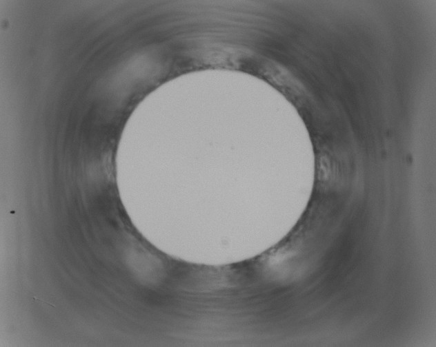 X0000081320820200702012357