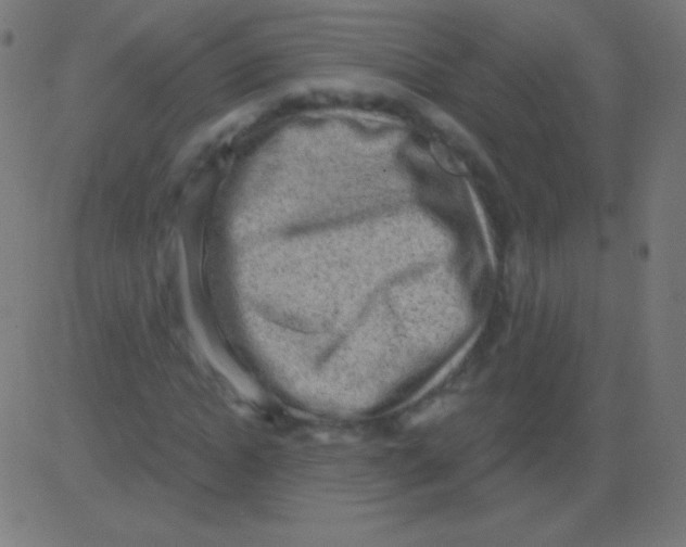 X0000081320822200702012357