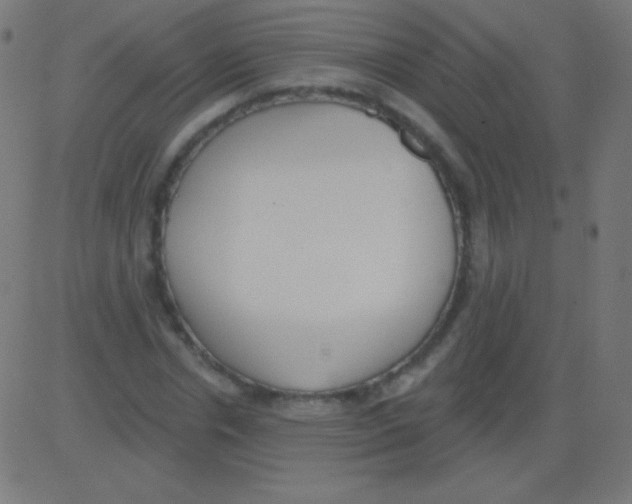 X0000081320826200702012357