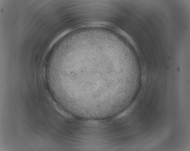 X0000081320827200702012357