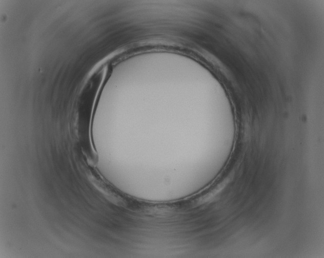 X0000081320830200702012357