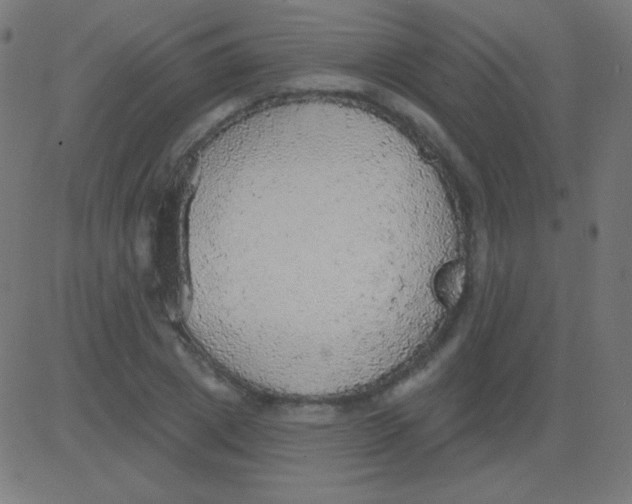 X0000081320833200702012357
