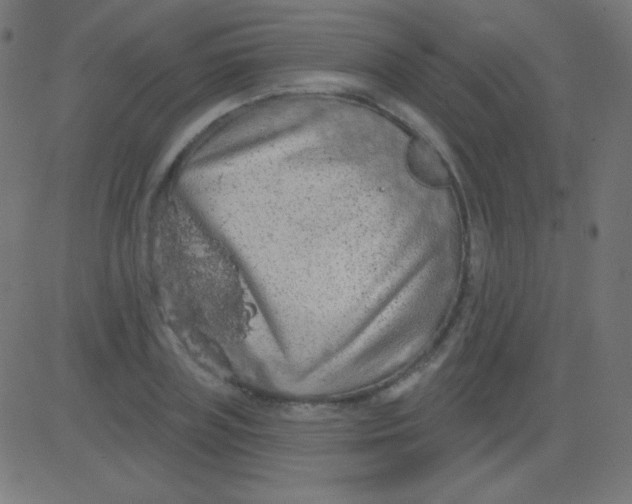 X0000081320835200702012357