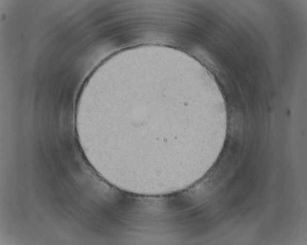 X0000081320836200702012357