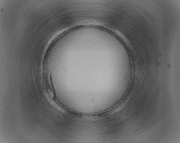 X0000081320840200702012357
