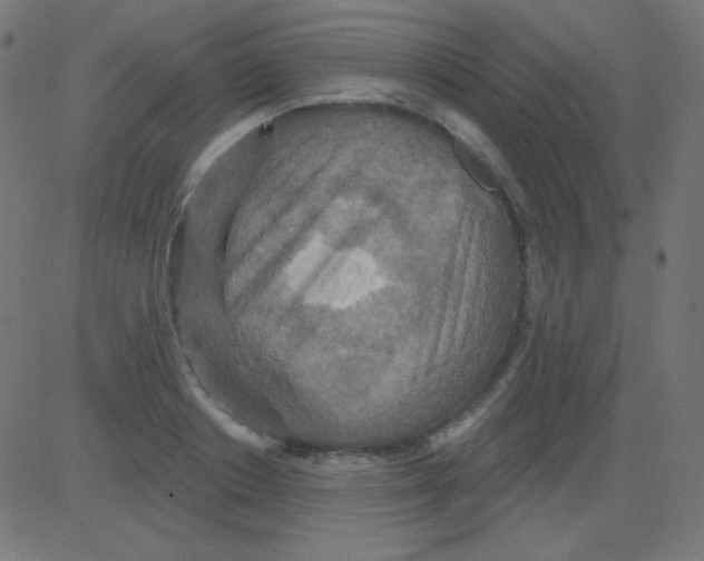X0000081320842200702012357