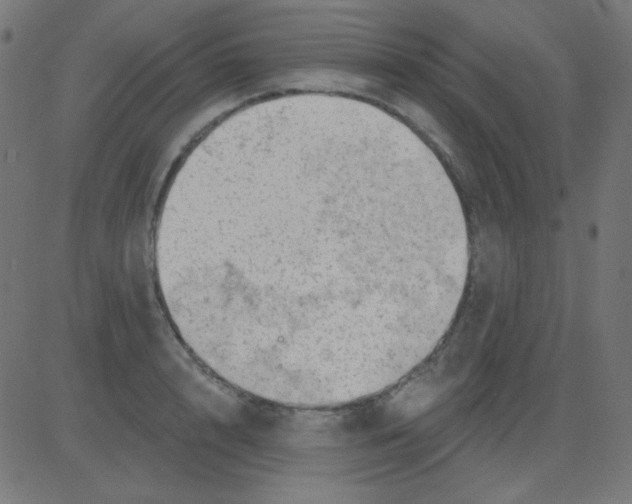 X0000081320848200702012357