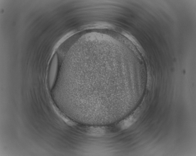 X0000081320850200702012357