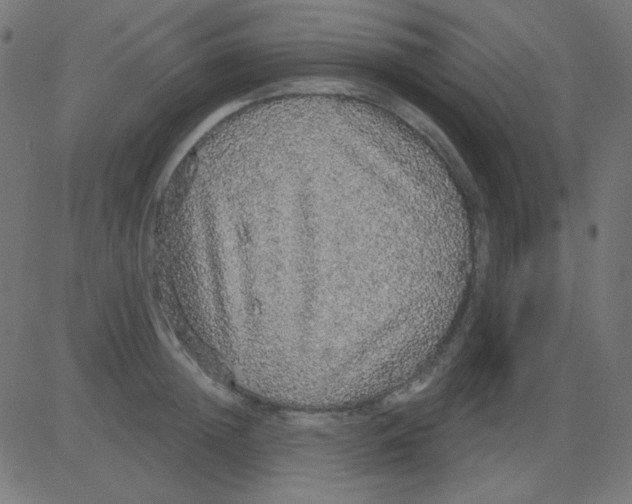 X0000081320852200702012357
