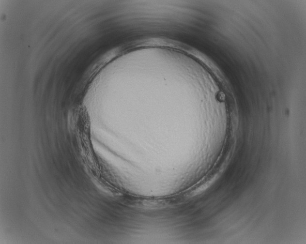 X0000081320857200702012357