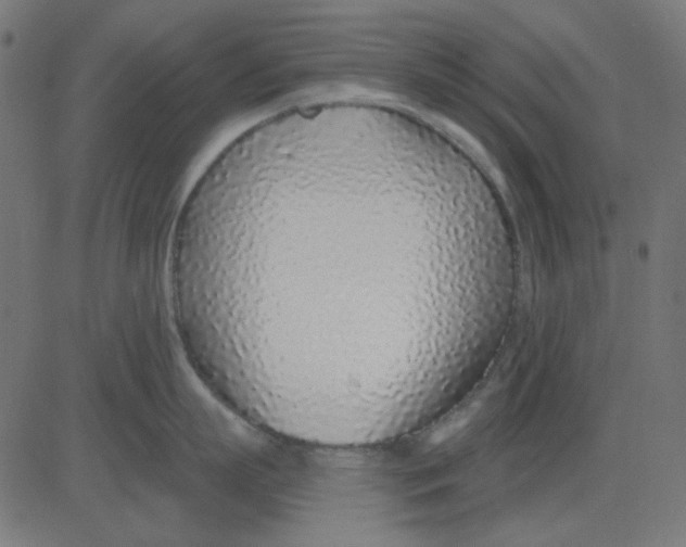X0000081320863200702012358