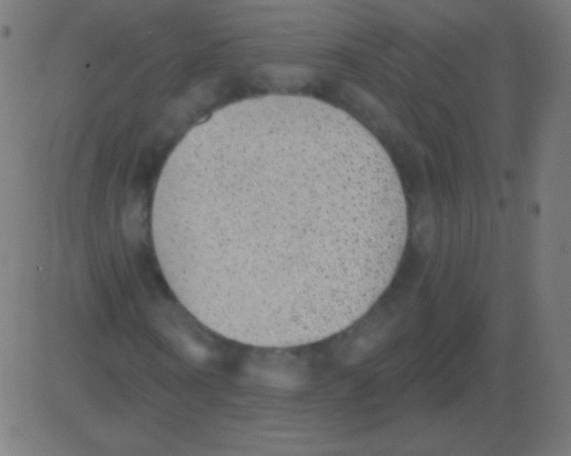 X0000081320866200702012357