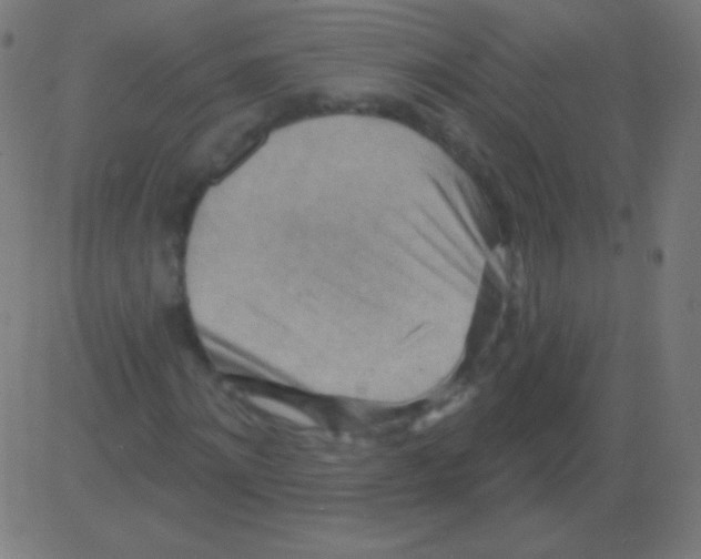 X0000081320868200702012357
