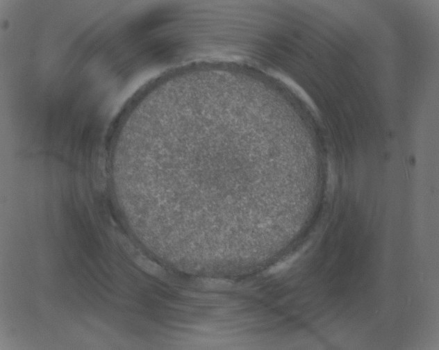 X0000081320878200702012357