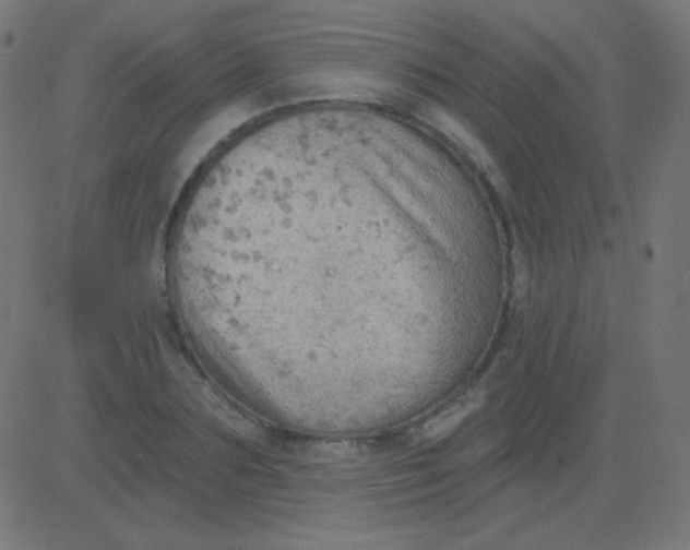 X0000081320883200702012356