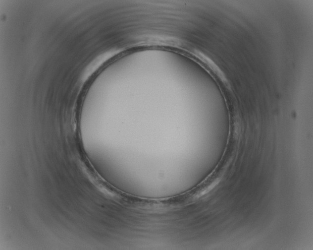 X0000081320885200702012356
