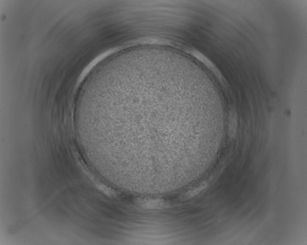 X0000081320886200702012356