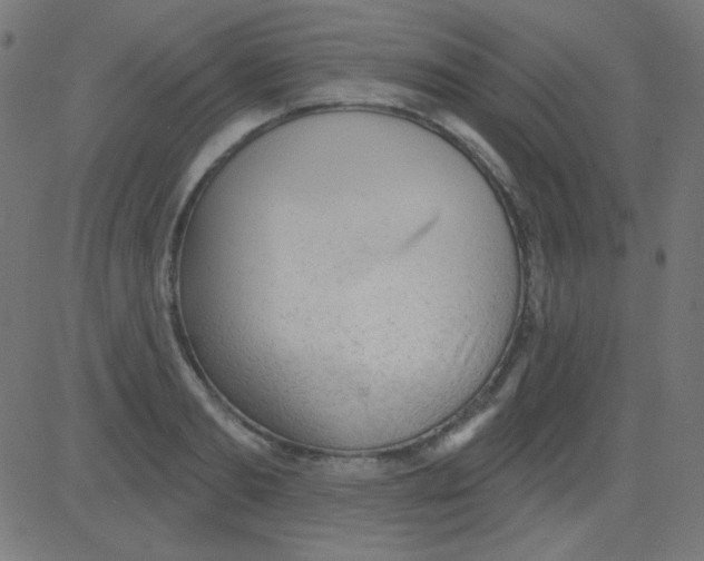 X0000081320893200702012356
