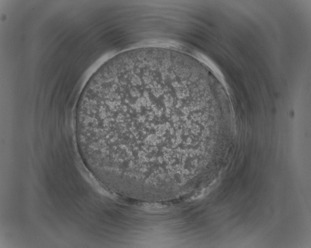 X0000081320907200702012356