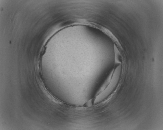X0000081320908200702012356