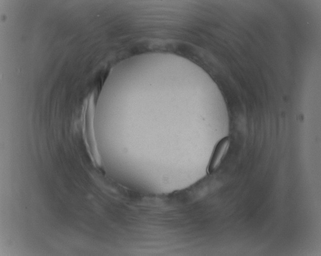 X0000081320914200702012355
