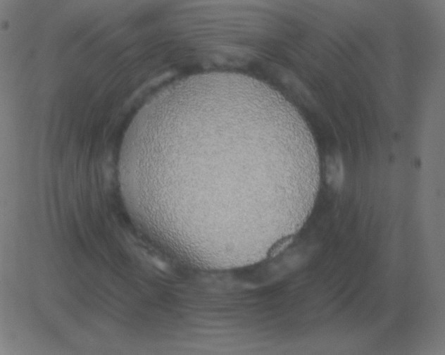 X0000081320915200702012355