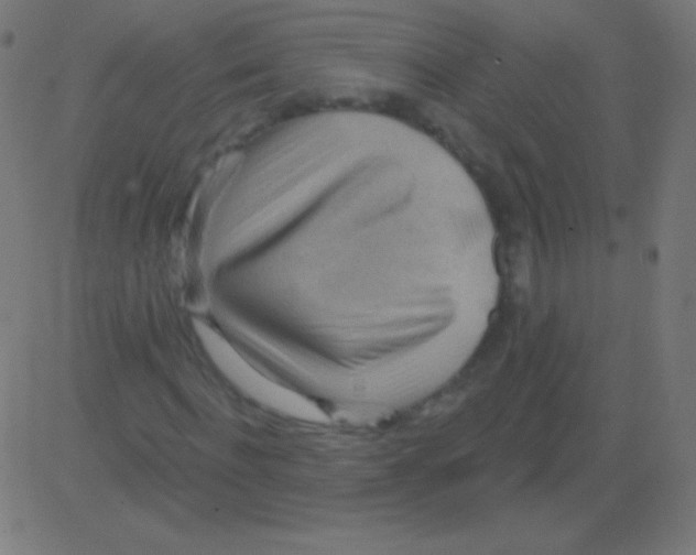X0000081320916200702012355