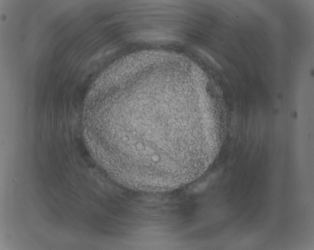 X0000081320917200702012355