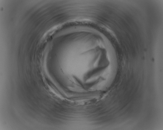 X0000081320920200702012355