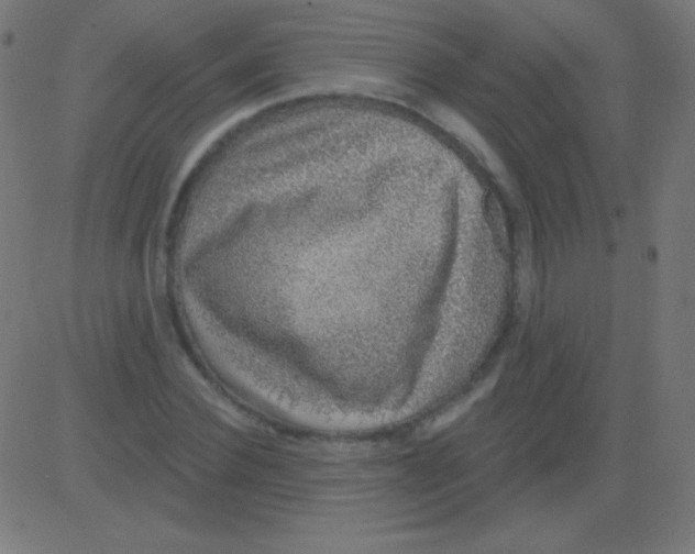 X0000081320924200702012355