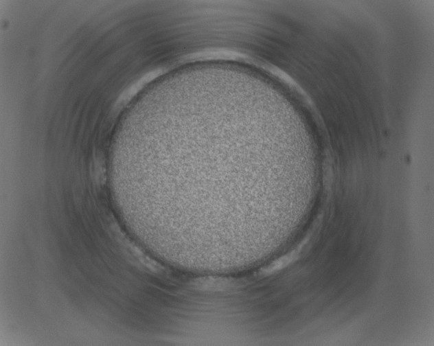 X0000081320929200702012355