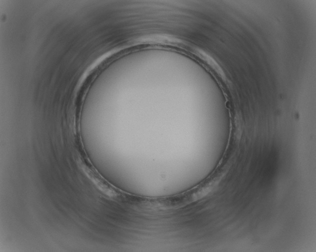 X0000081320931200702012356