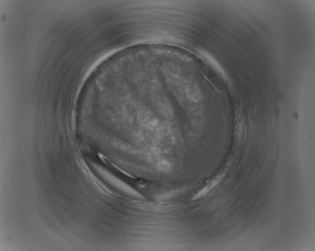 X0000081320932200702012356