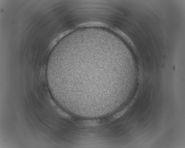 X0000081320937200702012356