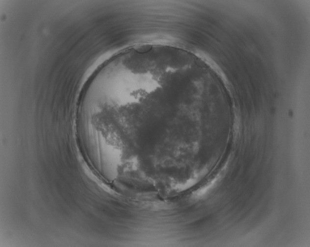 X0000081320941200702012356