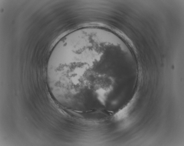 X0000081320945200702012356