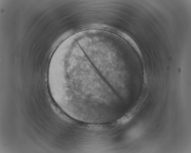 X0000081320954200702012356
