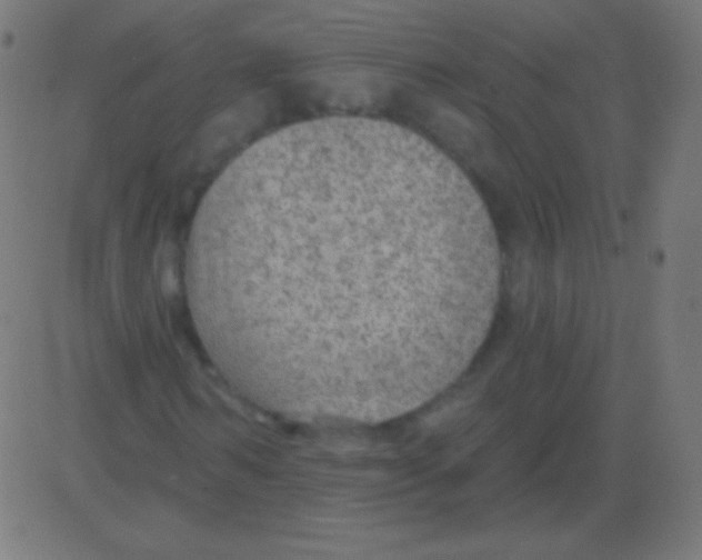 X0000081320962200702012355