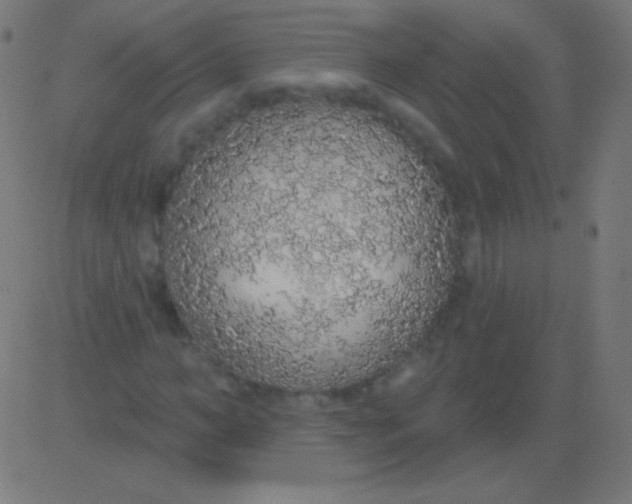 X0000081320966200702012355