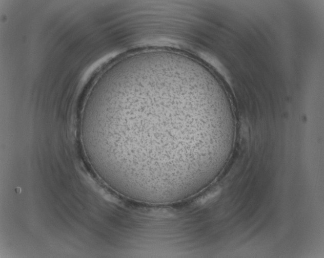 X0000081320979200702012355