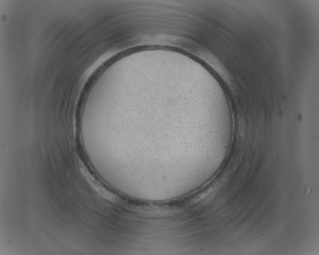 X0000081320980200702012355