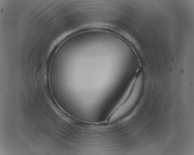 X0000081320981200702012355