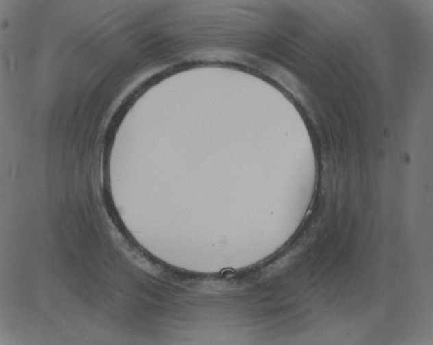 X0000081320984200702012355