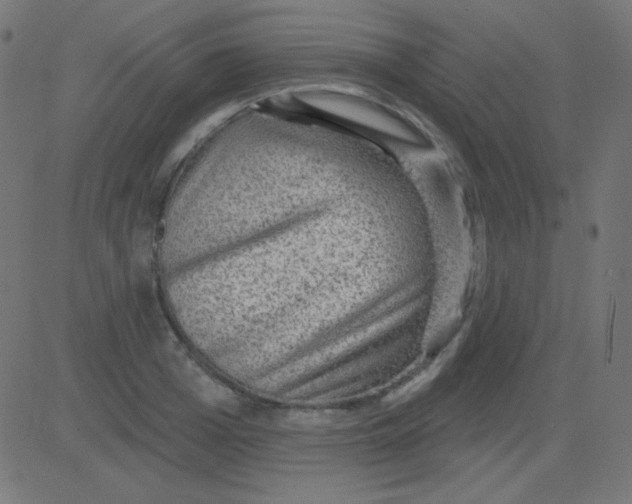 X0000081320985200702012355